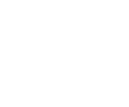 Evolution games at Bid Bingo Casino